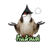 890326716