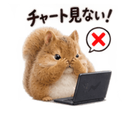 890331134