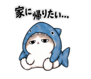 890397437