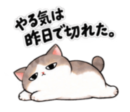 890397441