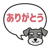 890443698