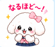 890533620