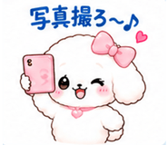 890533622