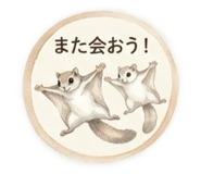 890572580