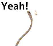 890624003