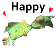 890624004