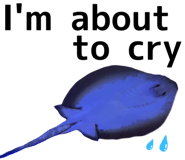 890624010