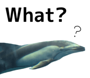 890624018