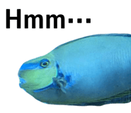 890624026