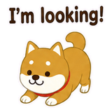 890625250