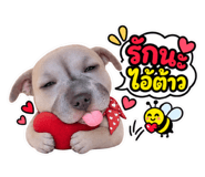 890649302