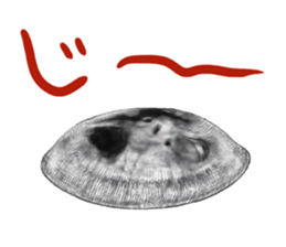 8906764