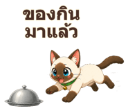 890676675