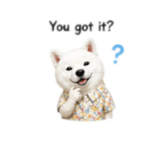 890680386