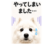 890728139