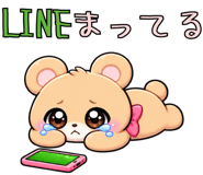 890810247