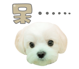 89082269