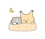 890846048