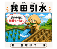 890855287