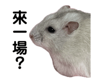 890856935