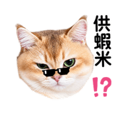 890884958