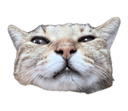 890934207