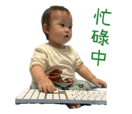 890951141