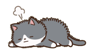 890964694