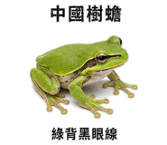 890972366