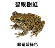 890972383
