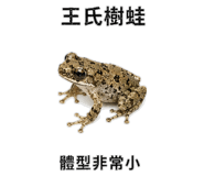 890972386