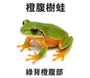 890972389