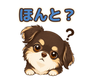 891056954