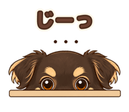 891056955