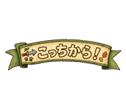 891062188