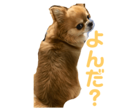 89128152