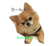 89128156