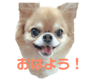 89128162