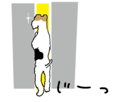 8925754