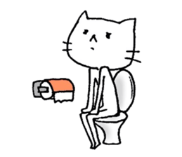 892784