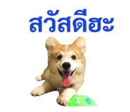 89382270