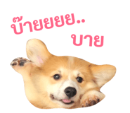 89382271