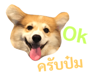 89382272