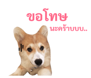 89382273