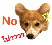 89382278