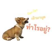 89382279