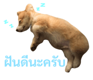 89382284