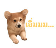89382287