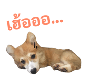 89382288