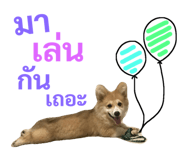 89382290
